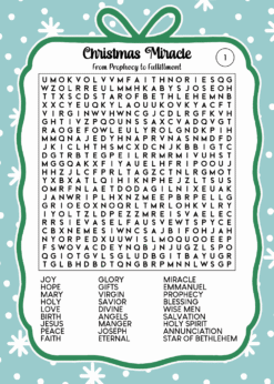 Alternative view of Christmas Word Search Puzzles Edition 3
