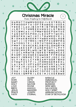 Alternative view of Christmas Word Search Puzzles Edition 4
