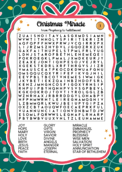 Alternative view of Christmas Word Search Puzzles Edition 2